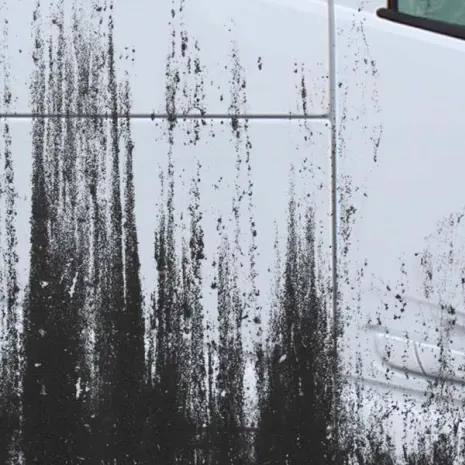 Weekend- en Vakantiehelden Gezocht bij Basiq Truckcleaning! ✨